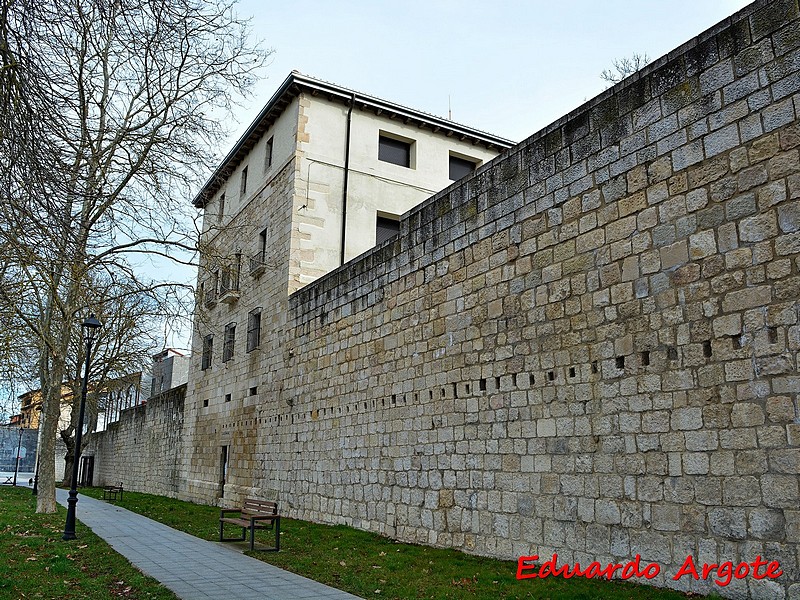 Muralla urbana de Salvatierra