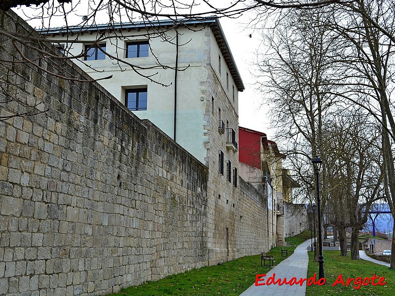 Muralla urbana de Salvatierra