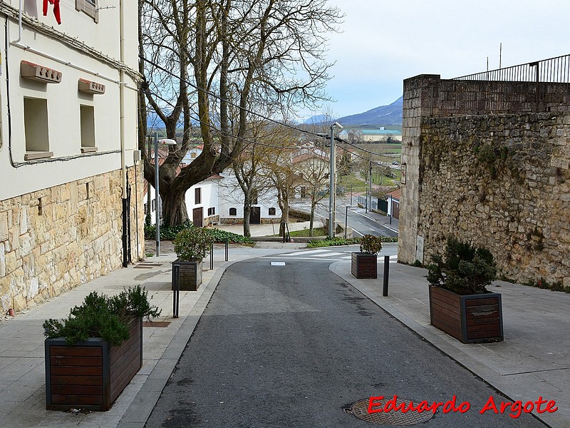 Muralla urbana de Salvatierra