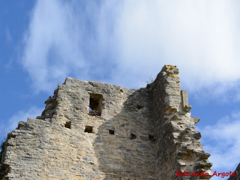 Torre-Palacio de los Guevara