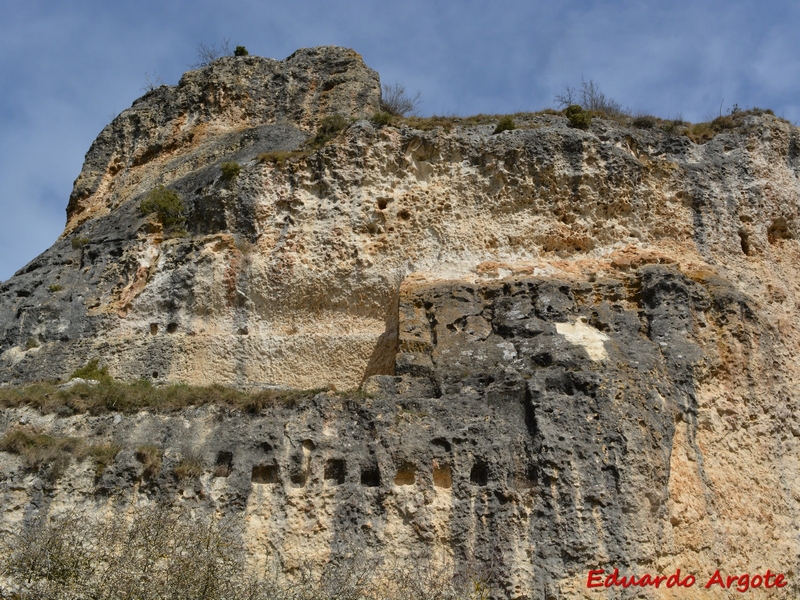 Castillo de Arlucea