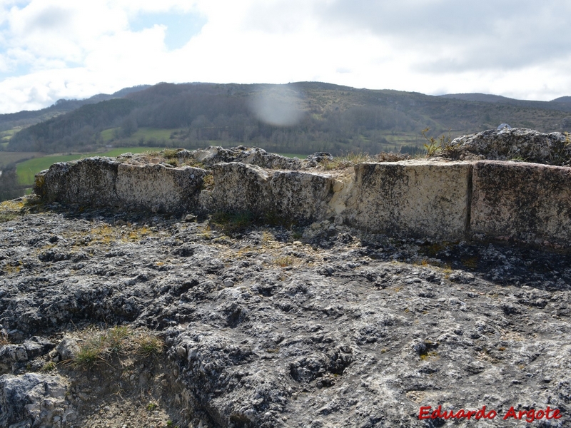 Castillo de Arlucea