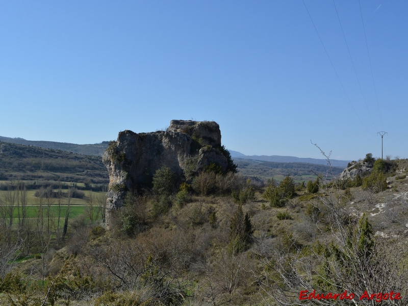 Castillo de Arlucea