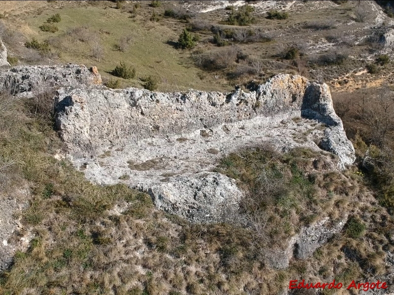 Castillo de Arlucea