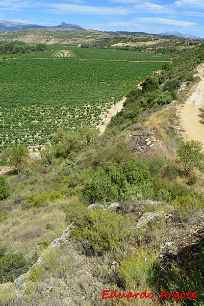 Castillo de Assa