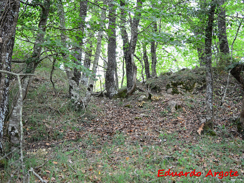 Castillo de Mendilucia