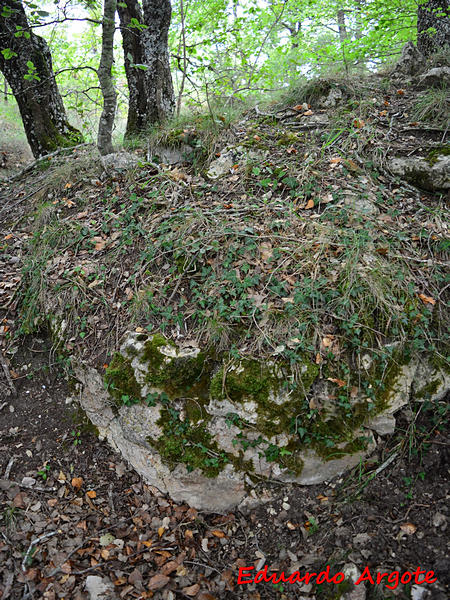 Castillo de Mendilucia