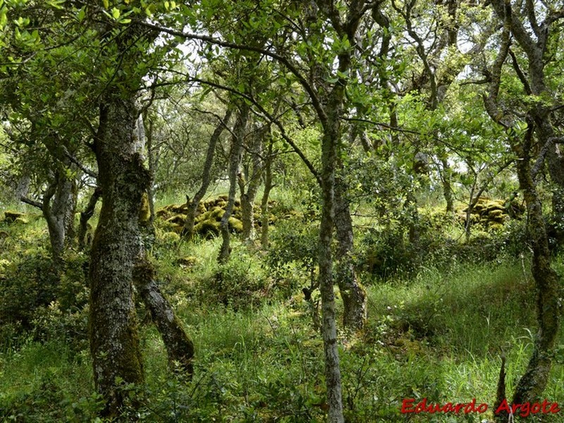 Castros de Lastra