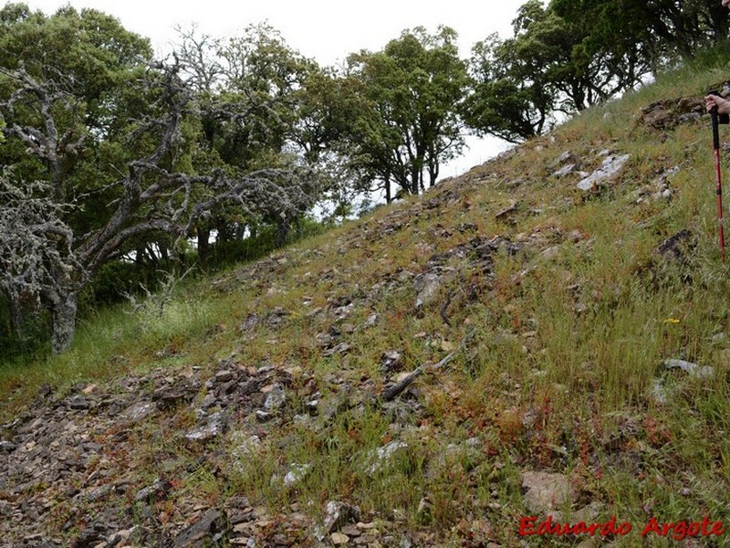 Castros de Lastra