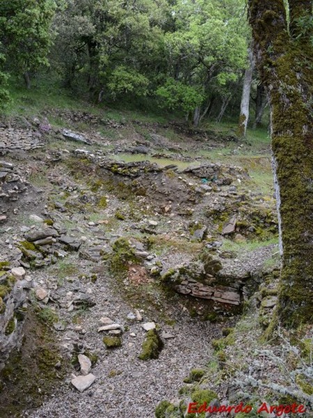 Castros de Lastra