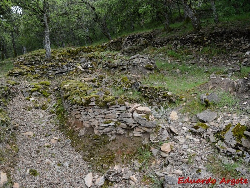 Castros de Lastra