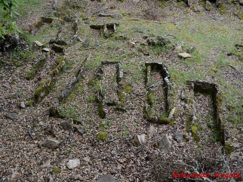 Castros de Lastra