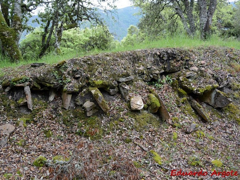 Castros de Lastra