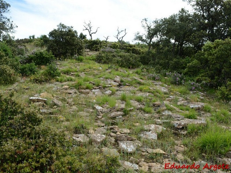 Castros de Lastra