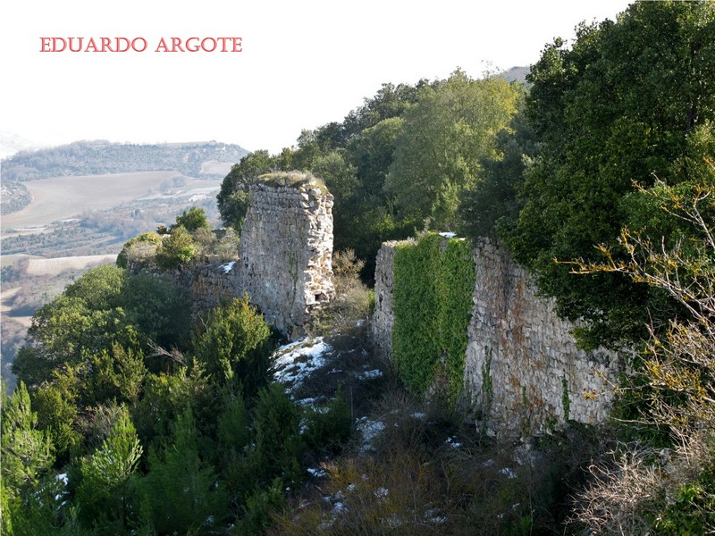 Muralla urbana de Portilla de Ibda