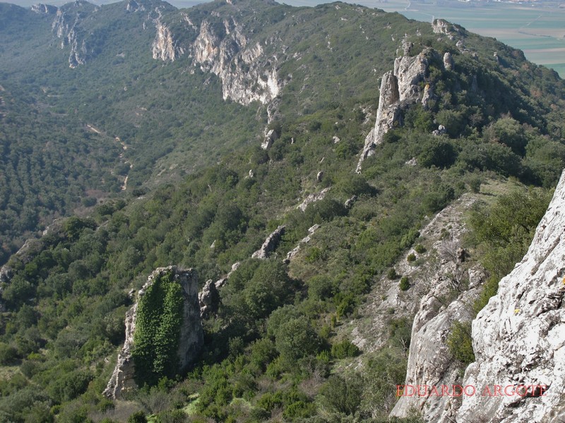 Muralla urbana de Portilla de Ibda