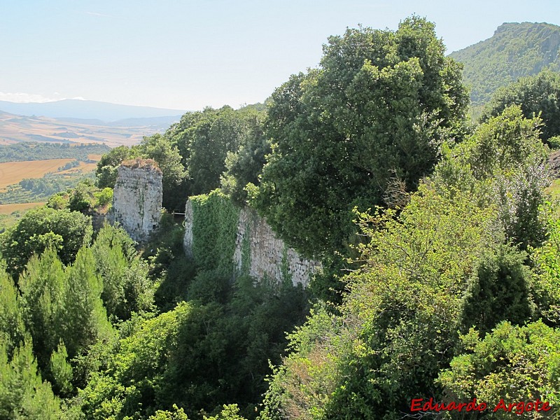 Muralla urbana de Portilla de Ibda