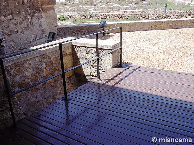 Castillo de Guardias Viejas