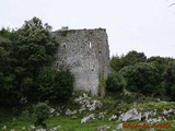 Torre de Tronquedo