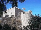 Castillo de La Adrada