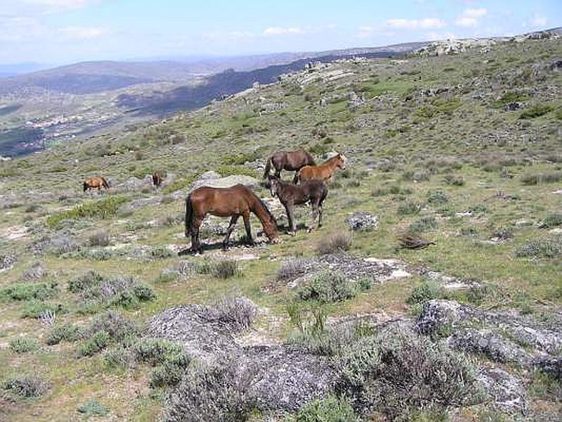 Castro de Ulaca