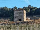 Morabito de Alburquerque