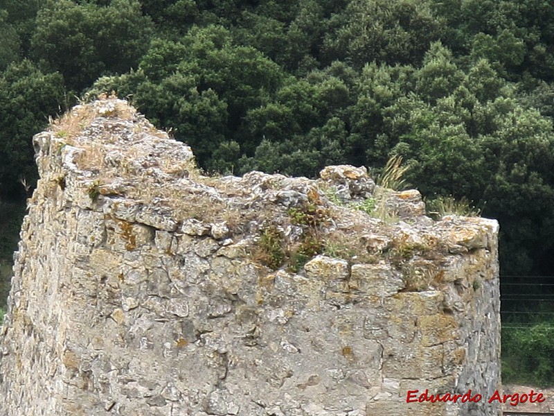 Castillo de Ameyugo