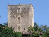 Torre de Navagos