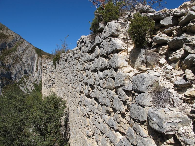 Castillo de Montealegre