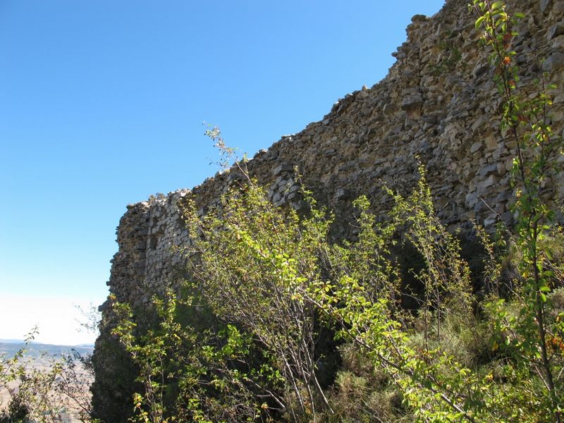 Castillo de Montealegre