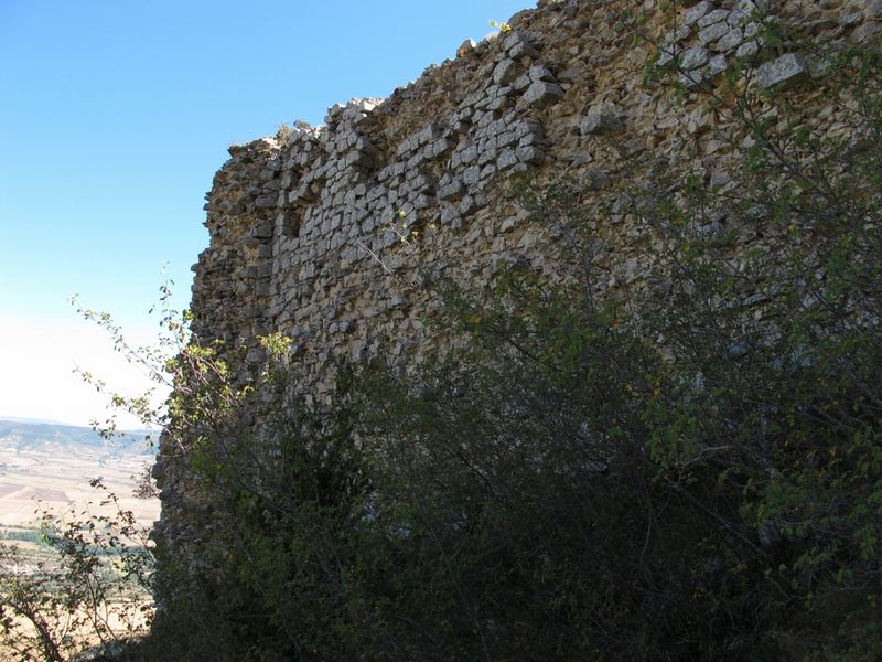 Castillo de Montealegre