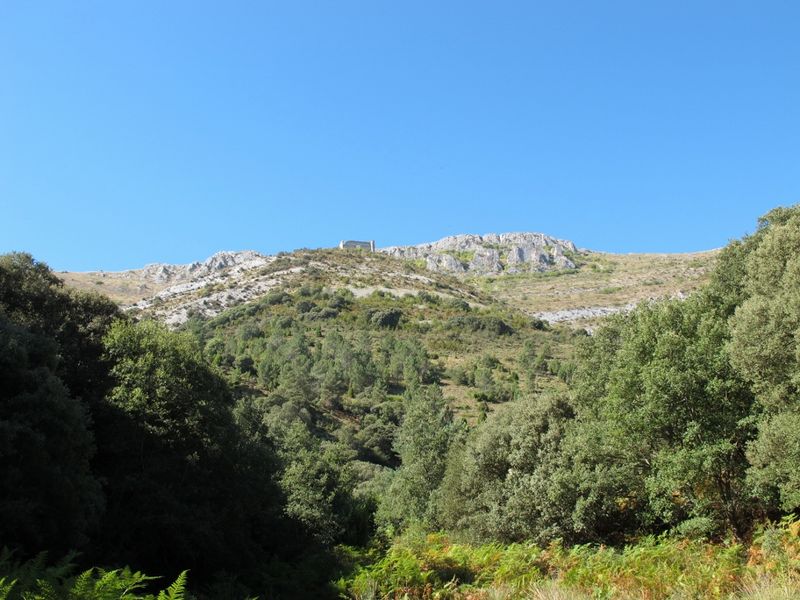 Castillo de Montealegre