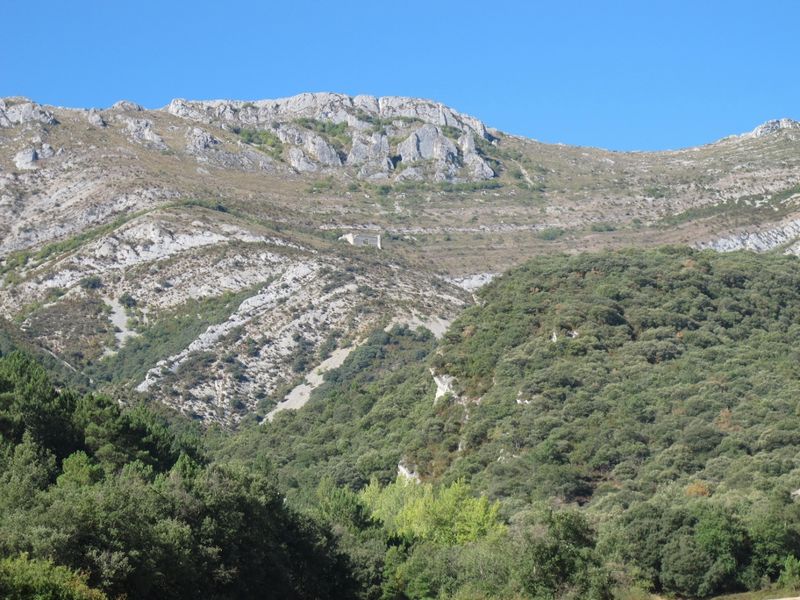 Castillo de Montealegre