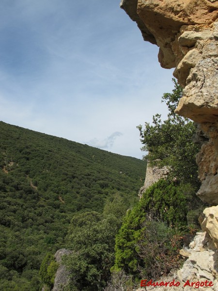 Castillo de Malvecino