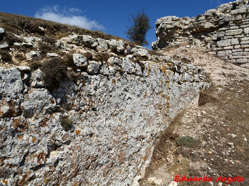 Castillo de Monasterio de Rodilla