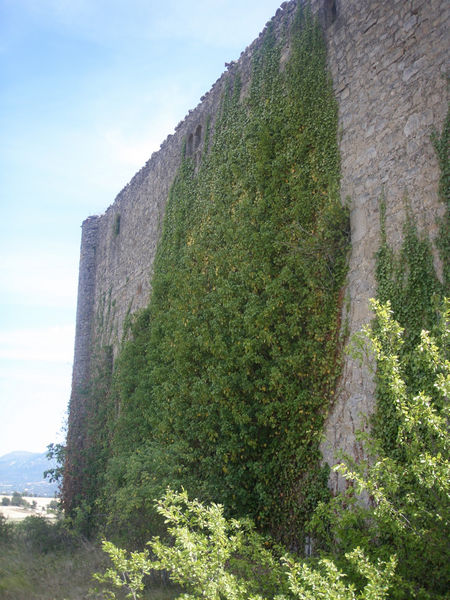 Torre de los Bonifaz