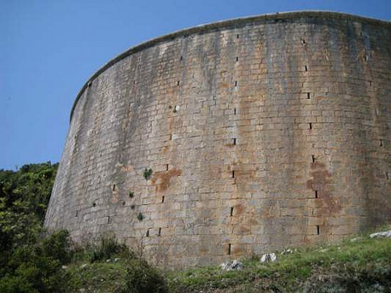 Fuerte de San Carlos