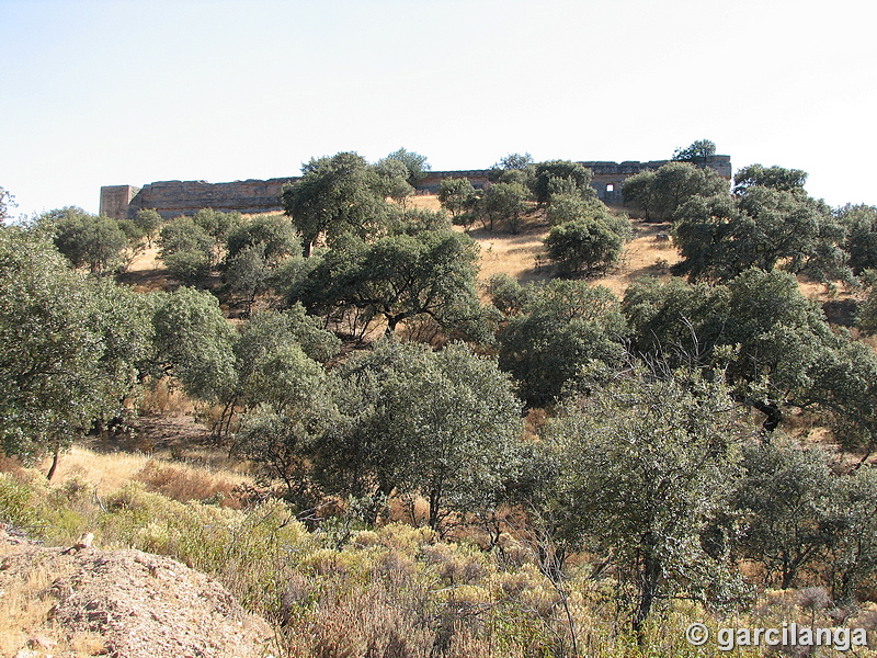 Castillo de El Vacar