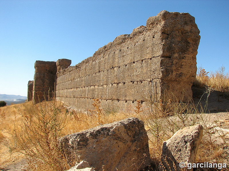 Castillo de El Vacar