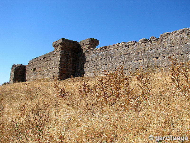 Castillo de El Vacar