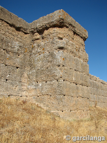 Castillo de El Vacar