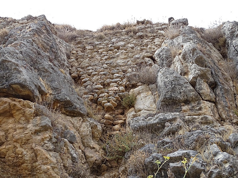 Castillo de Colomera