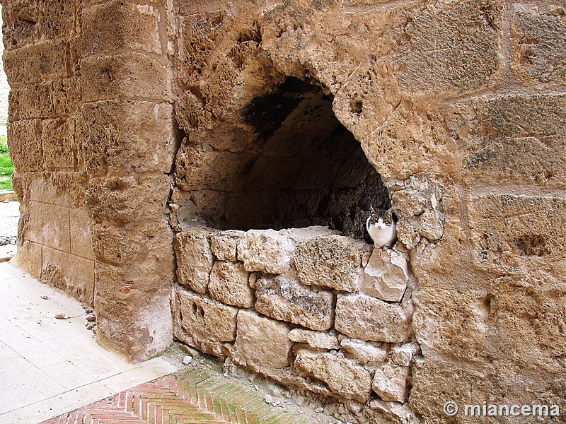 Muralla urbana de Brihuega