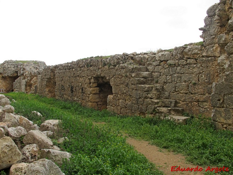 Castillo de Pioz