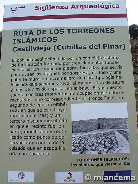 Castro de Castilviejo