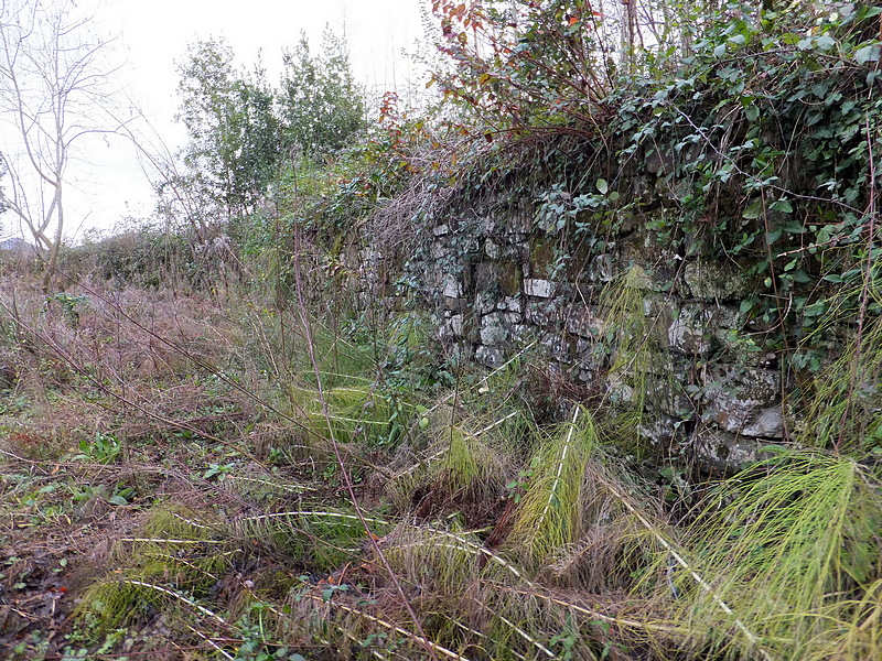 Fuerte del Parque