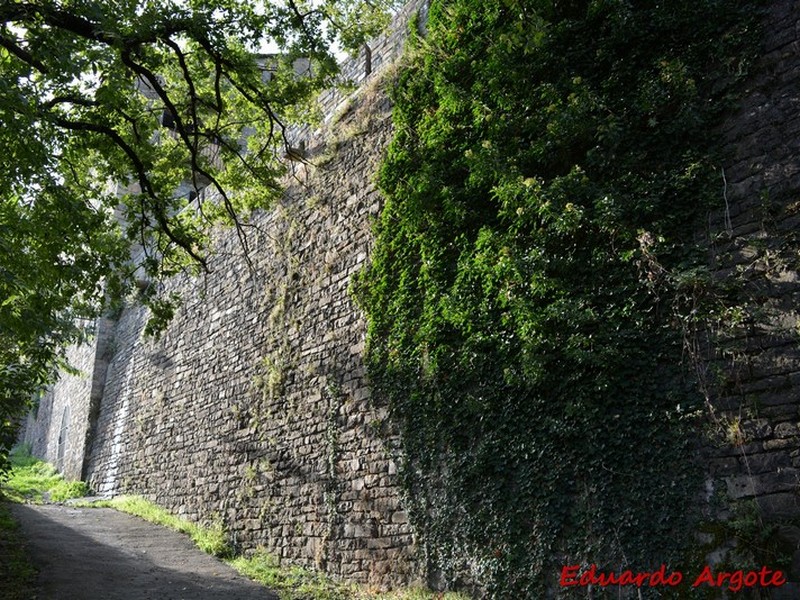 Imagen de Muralla urbana de Aínsa