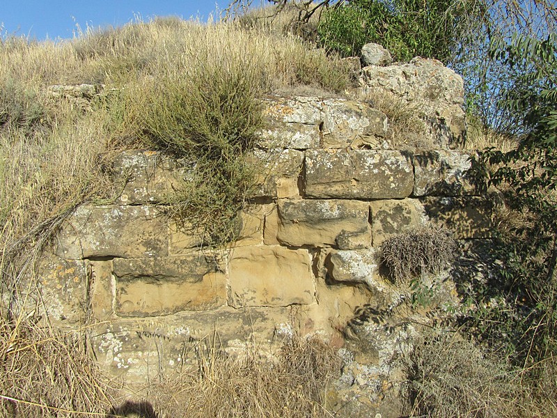 Torre de Abrisén