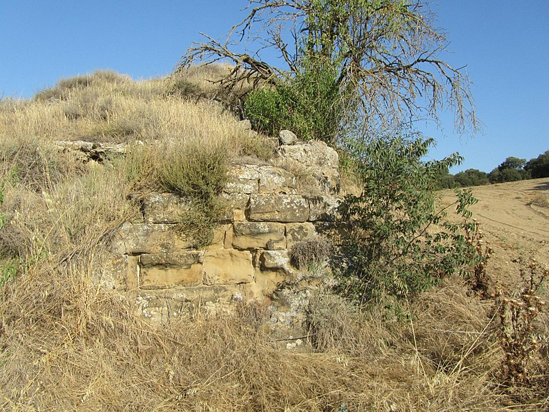 Torre de Abrisén