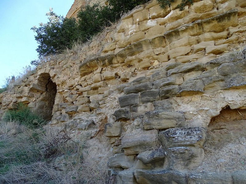 Castillo palacio de Argavieso